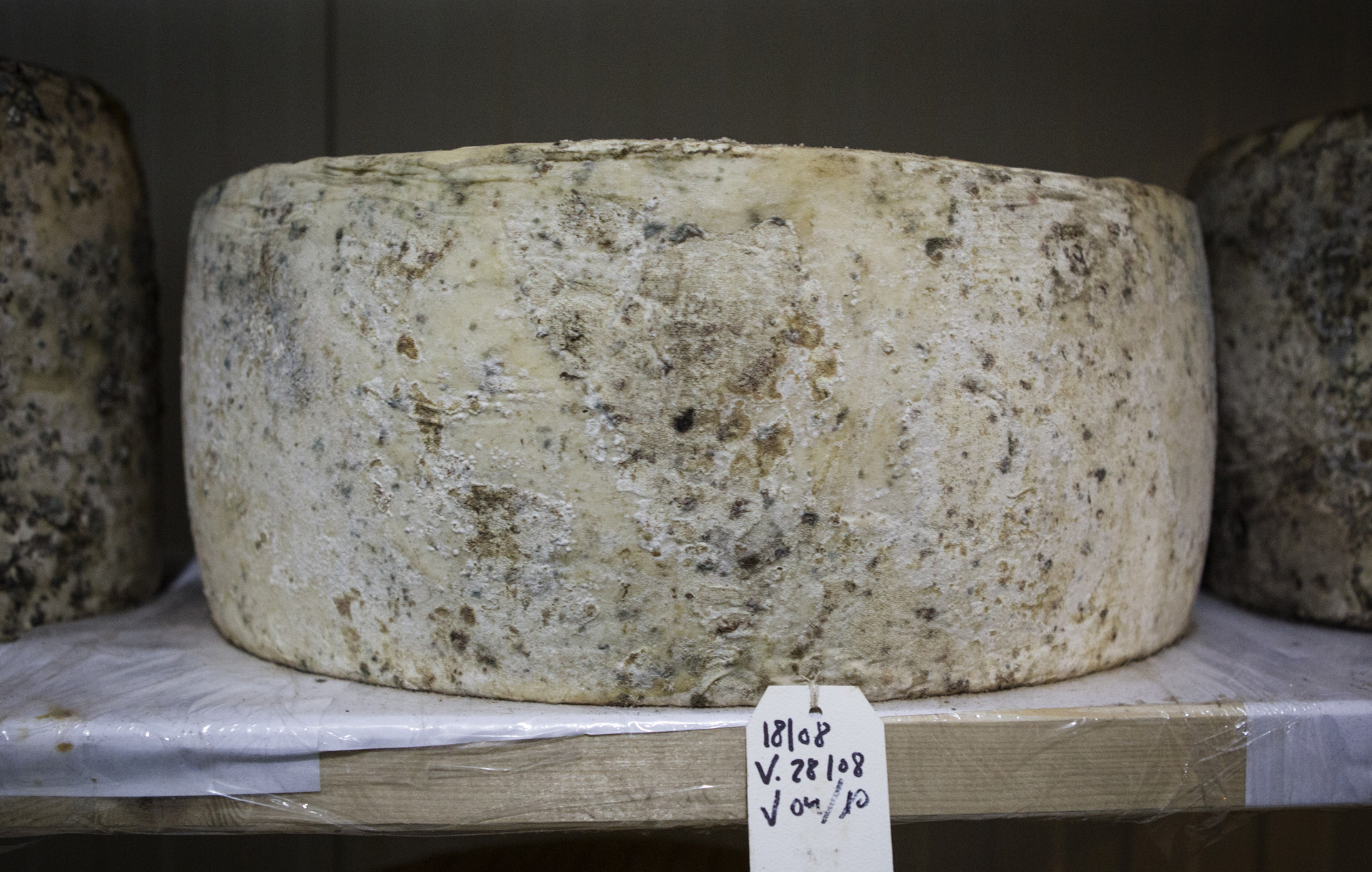 20170917230152-d73605c7b3dc3cd9748e9b435473bd80