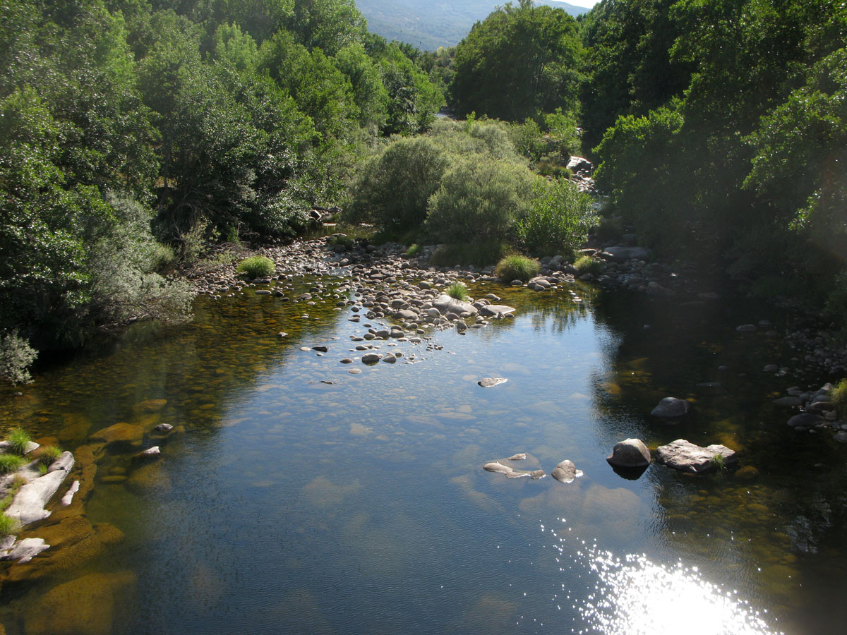 20171004224844-764fb81e7c13ada7ca22385d598e1561