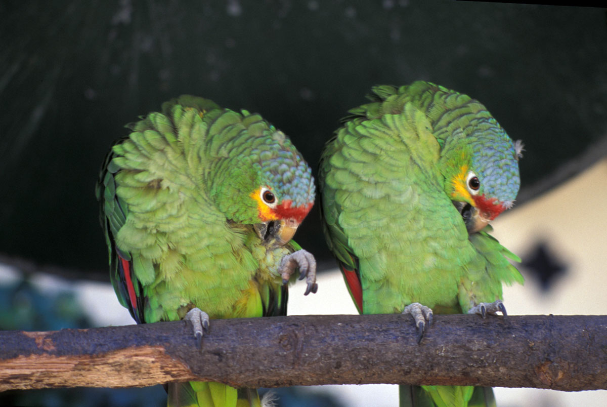 20171005235627-dc82669f0e381c4270c740ef5213096d