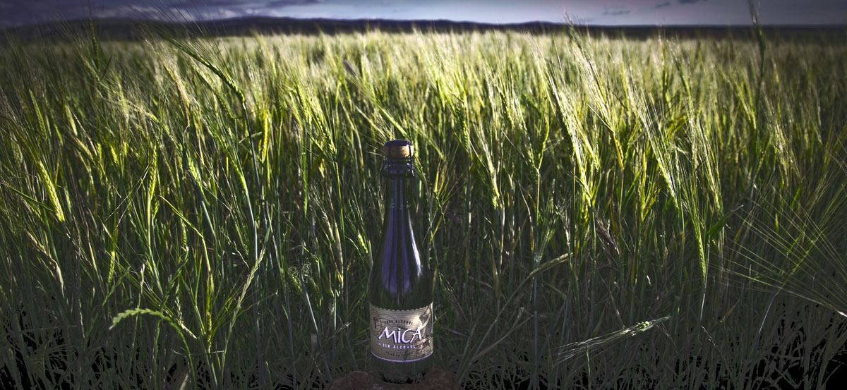 20171102033510-b6f1b3673f6176fe0070eff8f0345e2d