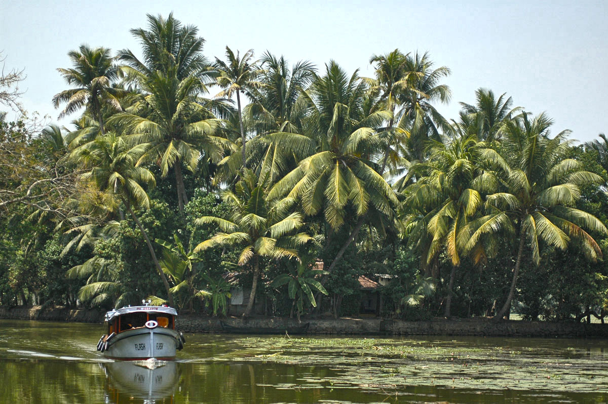 20171106165548-5bcb4049490529a424085bb843740291