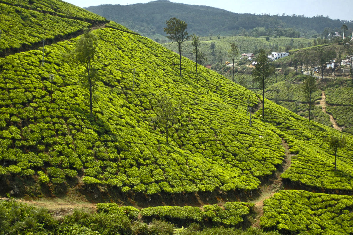 20171106165548-5c085f3beebc75045f53cda2f77dc5f2