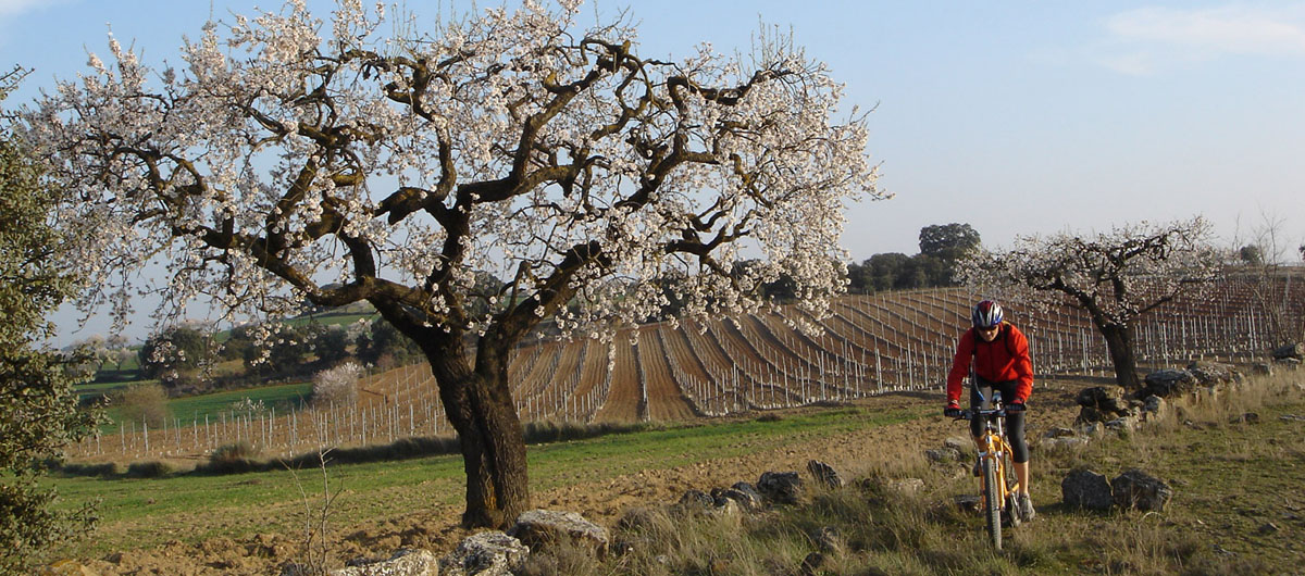 20171110123455-a07ffa2c97fa9fab2576faec48988339