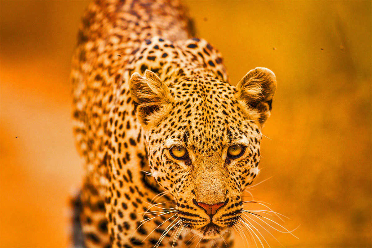 20171116031834-664e41209d2c74bbda3b44cae1428342