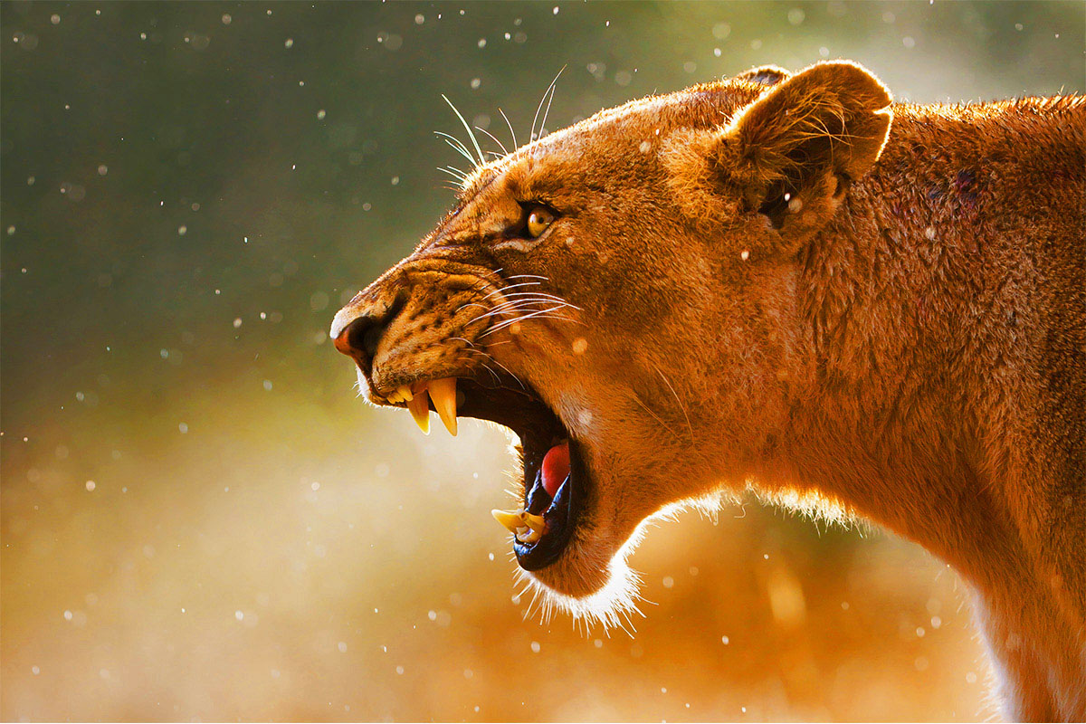 20171116031834-7c693596675553090962101afc4a8924