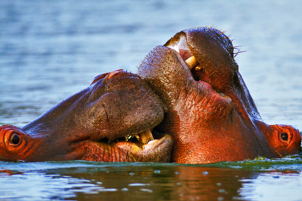 20171116031834-d9ef79b96c0b28a728082afd7149aba1