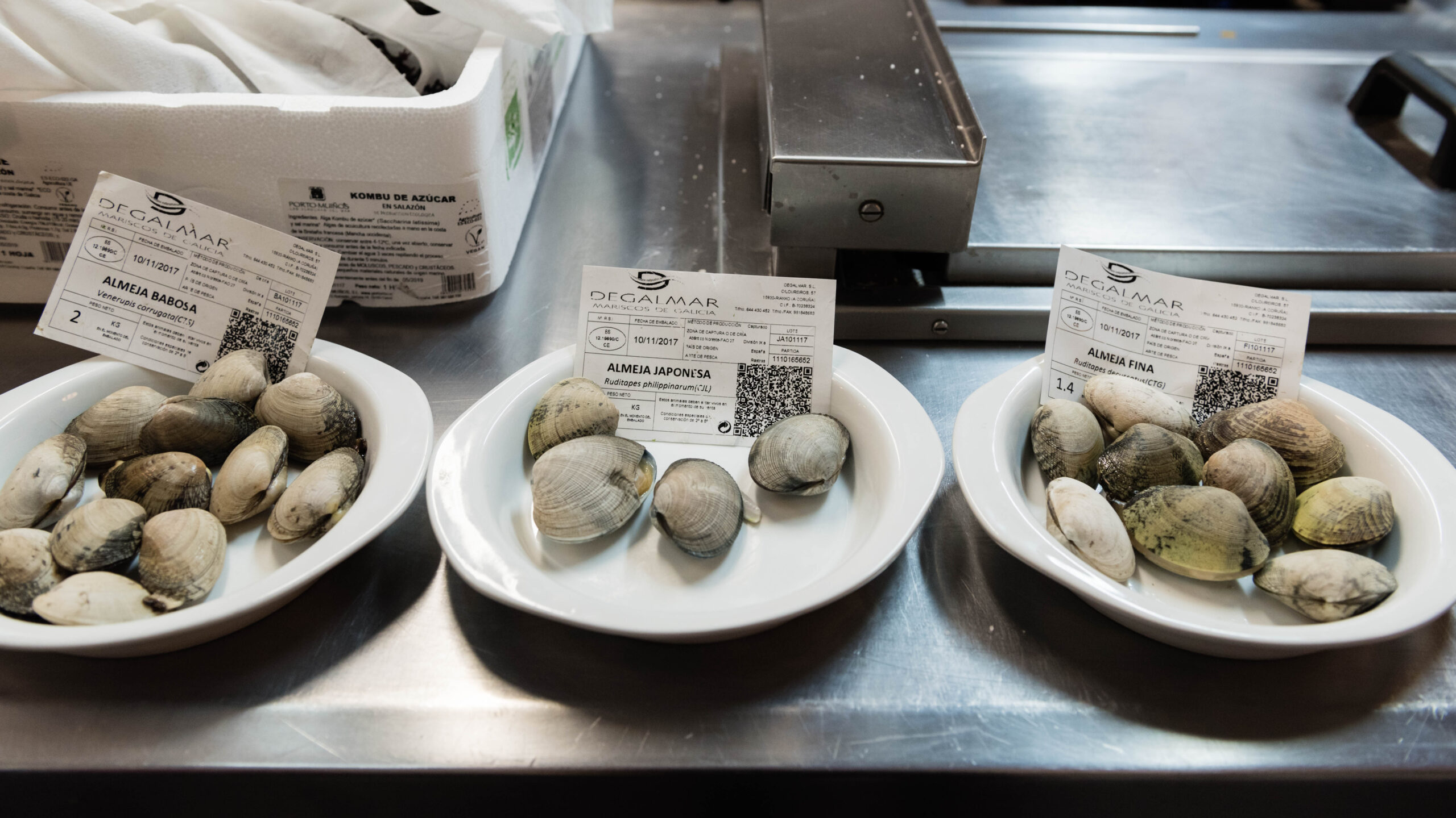 20171117125626-751d57904a406ef89ddcaaf125e4d6a8