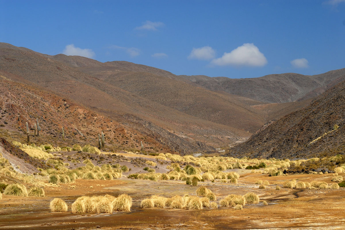 20171212230213-2c2d9f2b8b07464b3e9e82aee4540a22