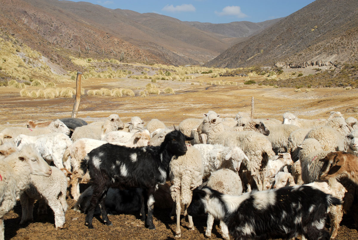 20171212230213-6a4c64c64bc9a48246a5ae7b5da26f2e