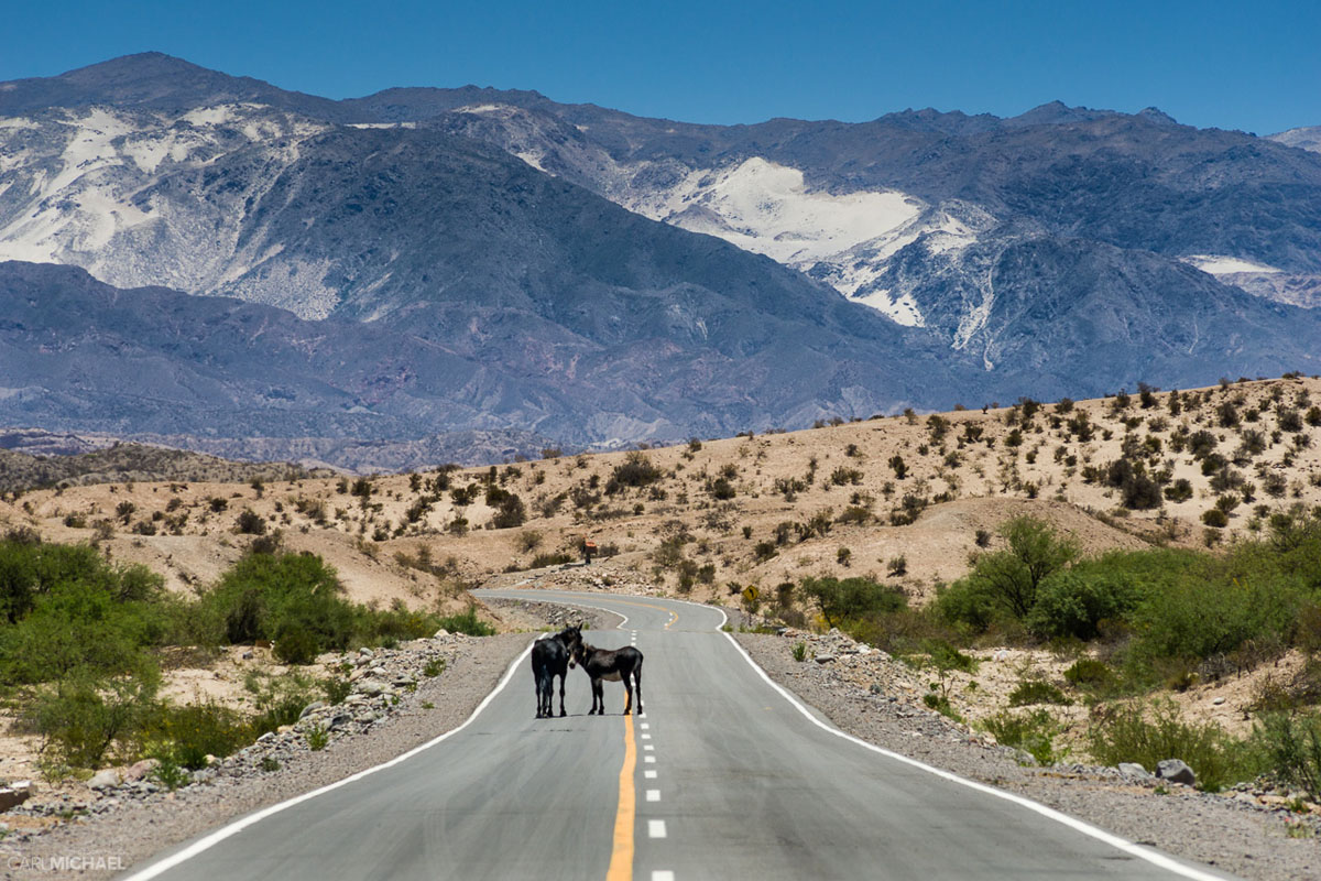 20171212230213-9594aab251d3bd742a7712a0c6e06547