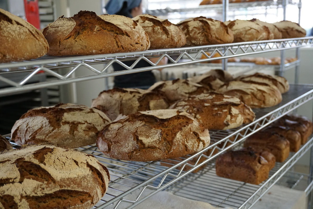 20171220032933-6fd1b888fa2f564da681e88da5976318