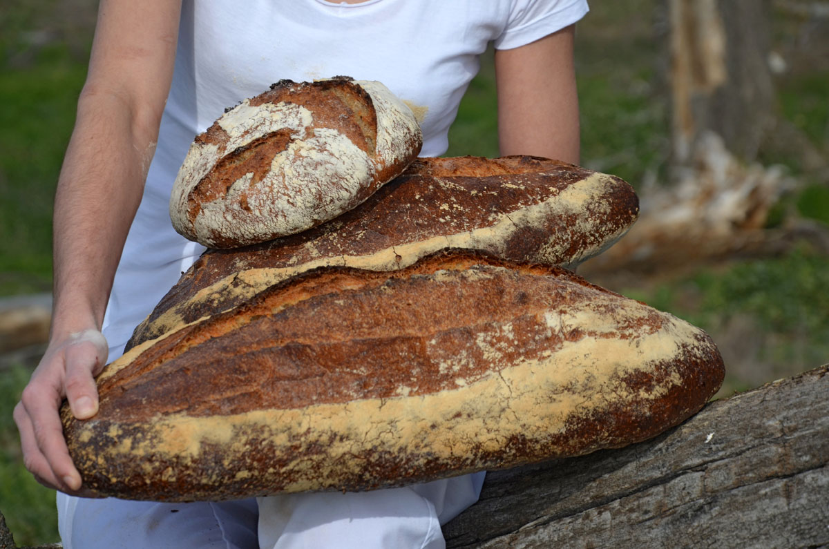 20171220032933-8a0c5f77380e7581026824ca6af54d99