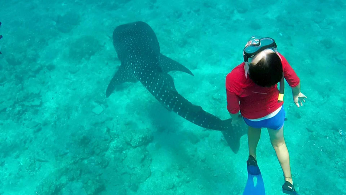 20171222105137-780065bb6ce2cede232d4085e7816b78