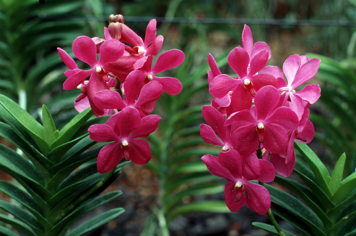 20180110122340-9f7e4850280e46e5d868a42cbfdc5574