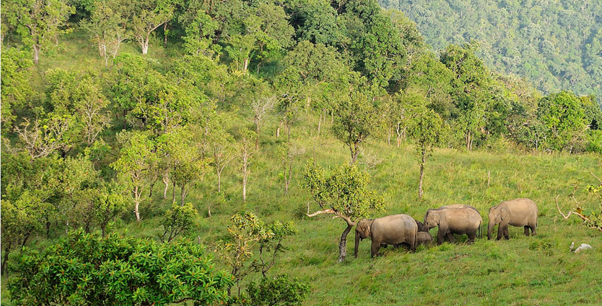 20180117145042-5fb15dbf2ae8f6e48fa41269d14df283