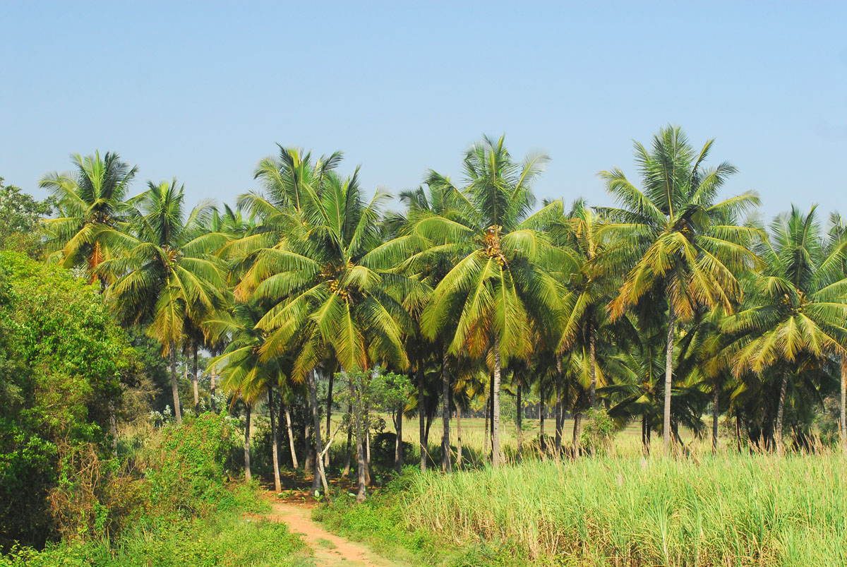 20180117145042-69e7dae1bad9a37185a94cdd0c91e8cd