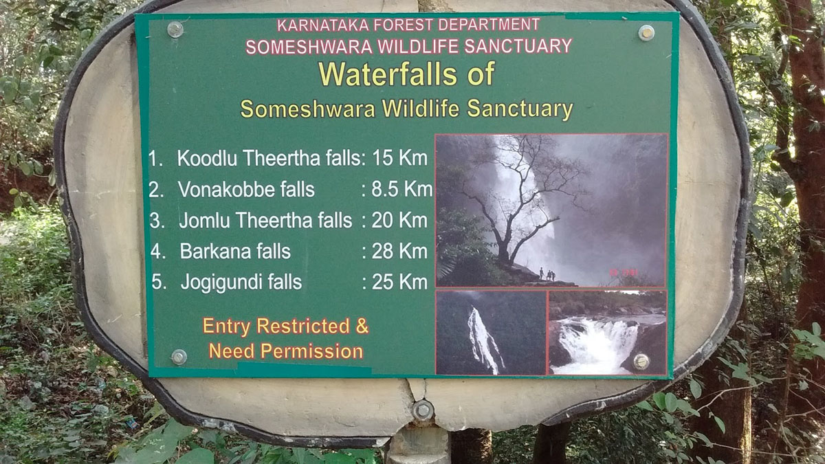 20180117145042-8cbd2a10d10747046ea5bb3b1e0935f7