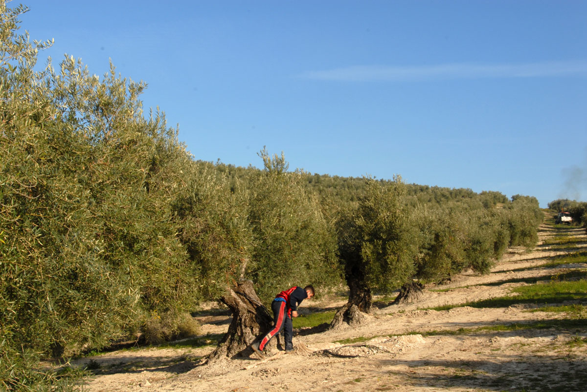 20180126111418-c0139ab7e36cbd2f3ed6918ecb3361a6