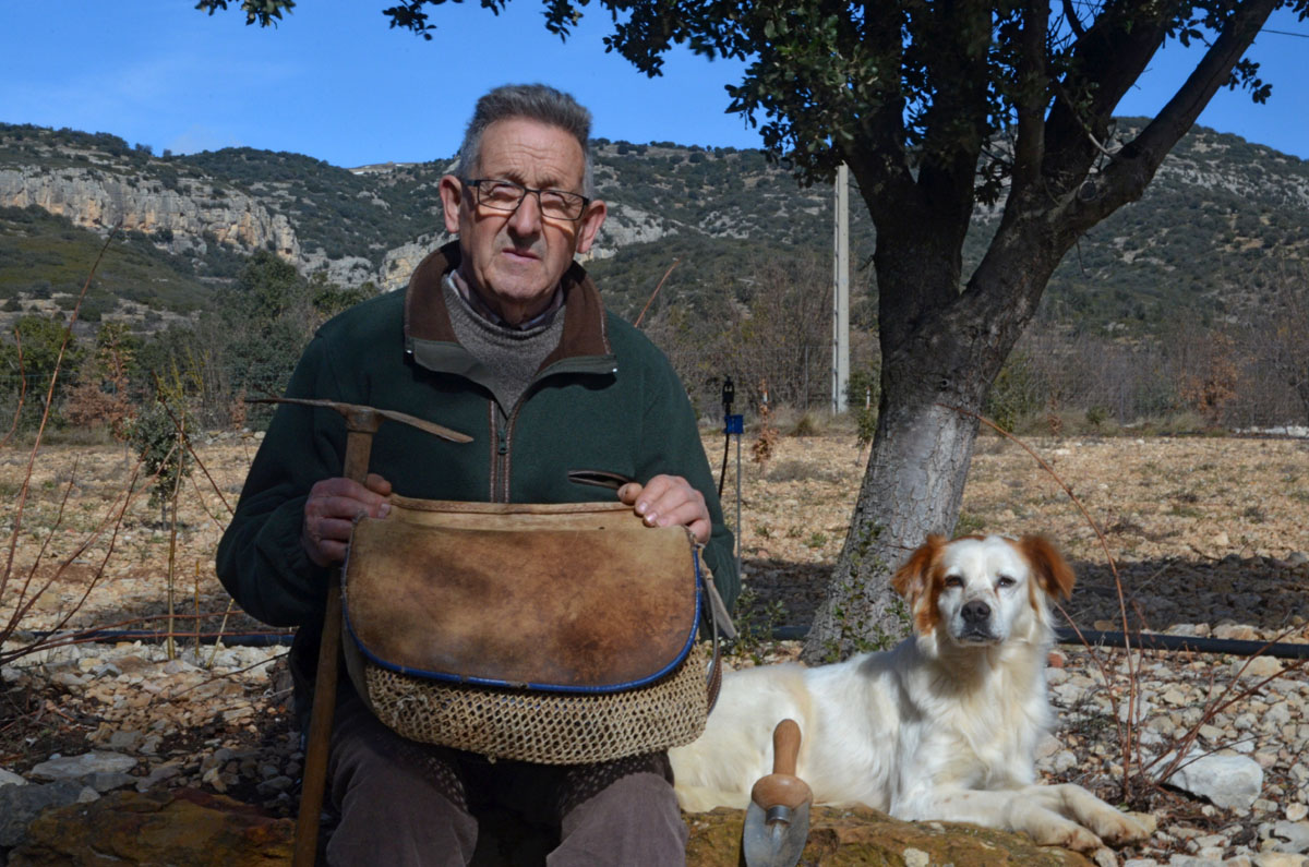 20180129111922-0014621de2fb7c7ec2f0aab8805d349b