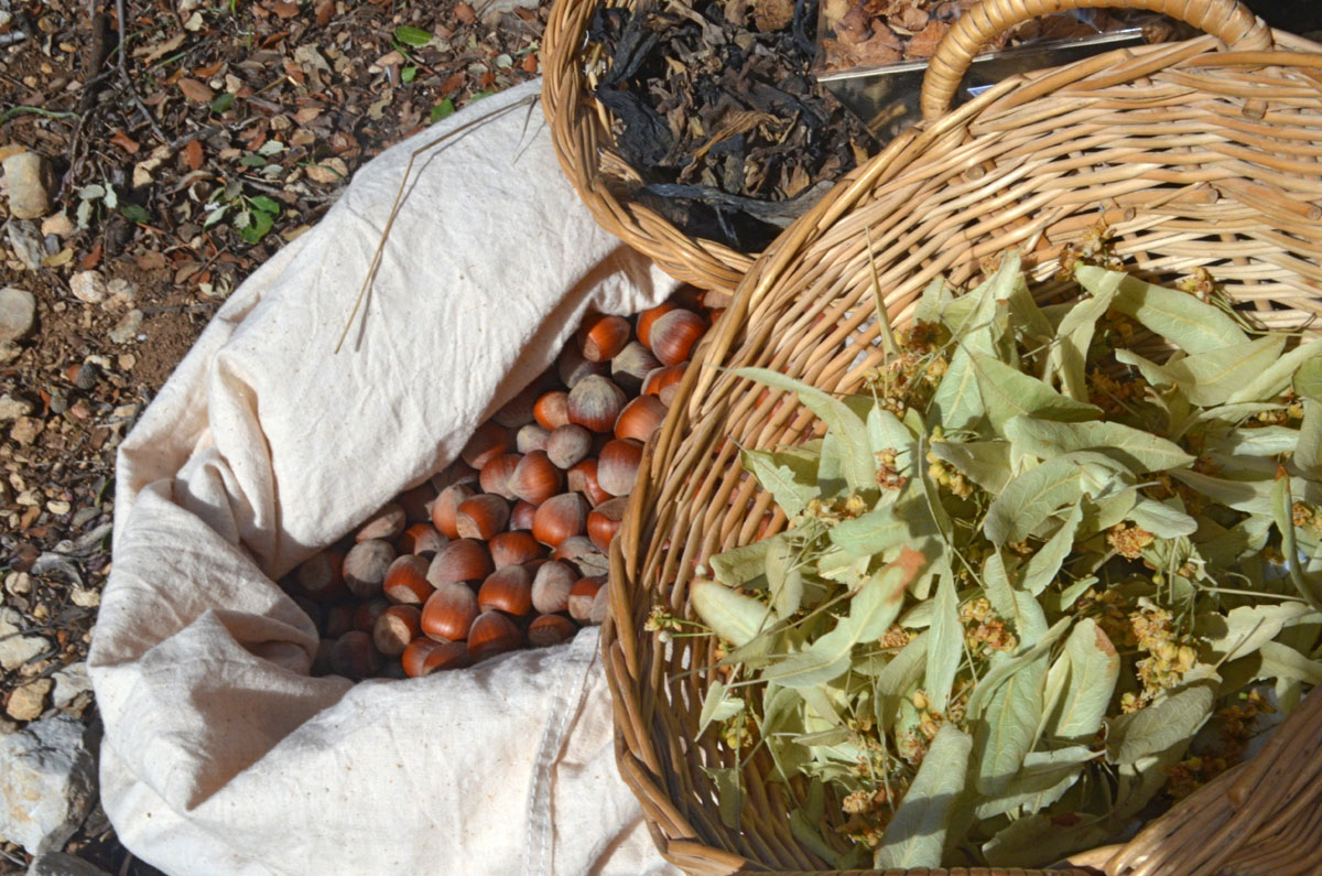 20180129111922-1dabb912b7a6f30d84cffa4906f7cb37