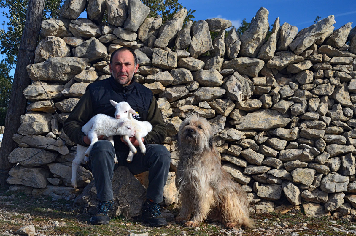 20180129111922-8afa043702d4b7b18545f824e59c901a