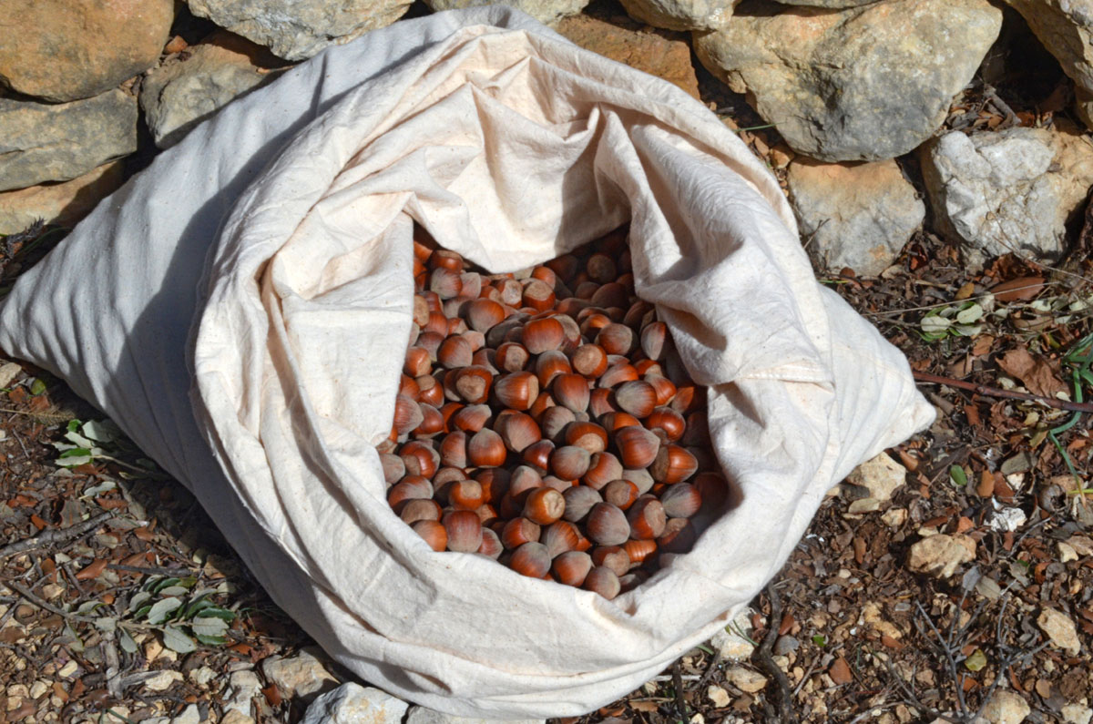 20180129111922-e79ae219ba0a899f45fdcd103782175b