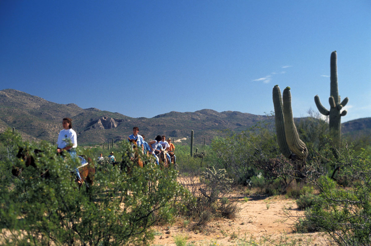 20180201091430-9560deda651b176f33d187fa8dced746