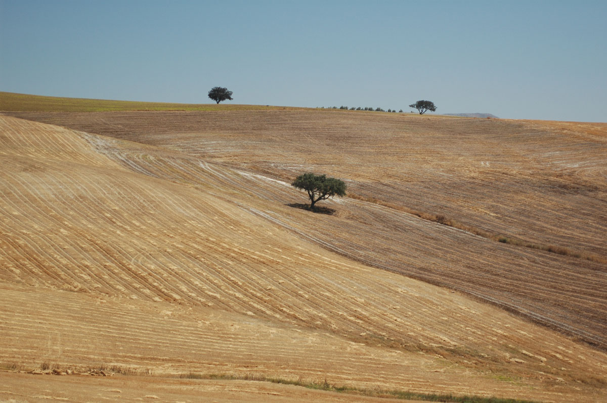 20180215124736-3d1c3b01a616e050799bca1a64366b36