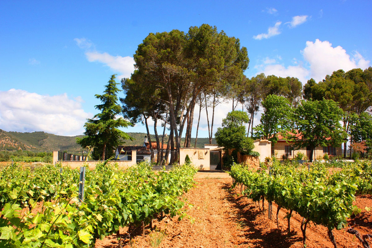 20180219005517-c491b854b05add46f84dacdde63b6663