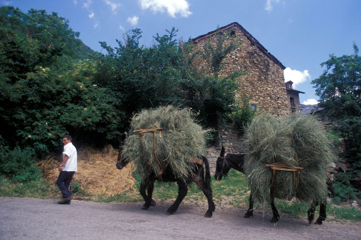 20180227130705-ba08752e39fa5f70f57ee226b6d95364