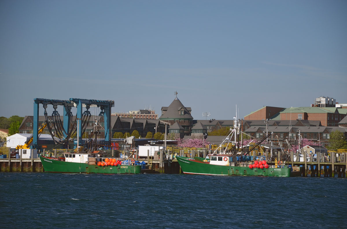 20180301111829-ed2a95d0cd14472e284928bcb0fd3fe9