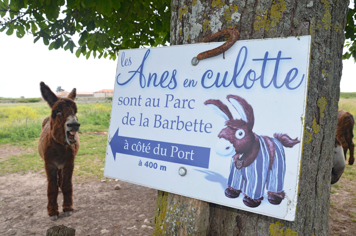 20180309100743-ce4e69c668c7e784a845b7689207c5dc