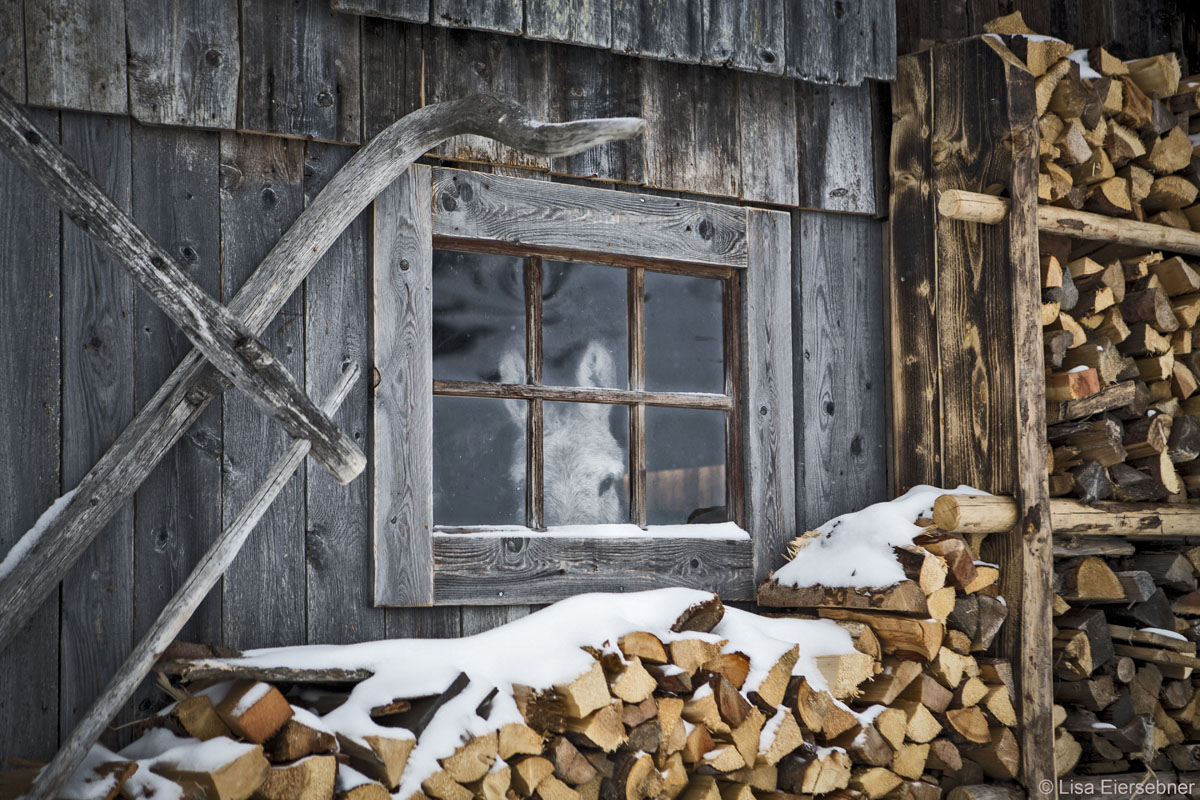 20181203230513-cdc01fb0e25870bcd255eb0f17fb9751