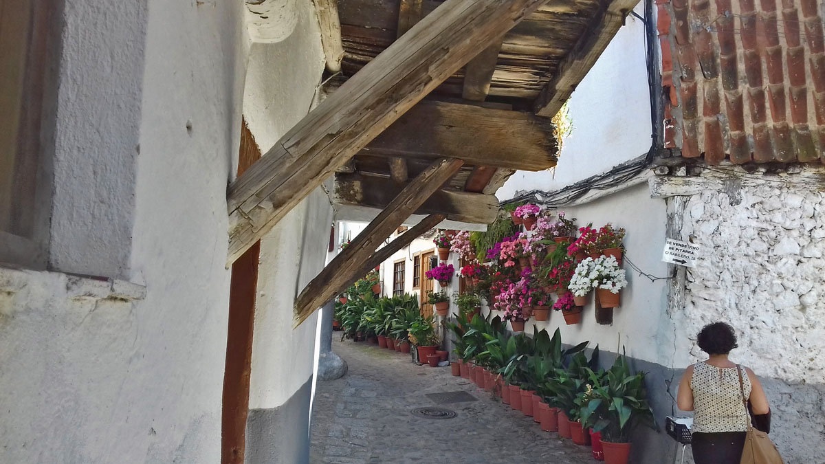 20181226084946-5cd139237e1cfa3a3e559de34dbc0948