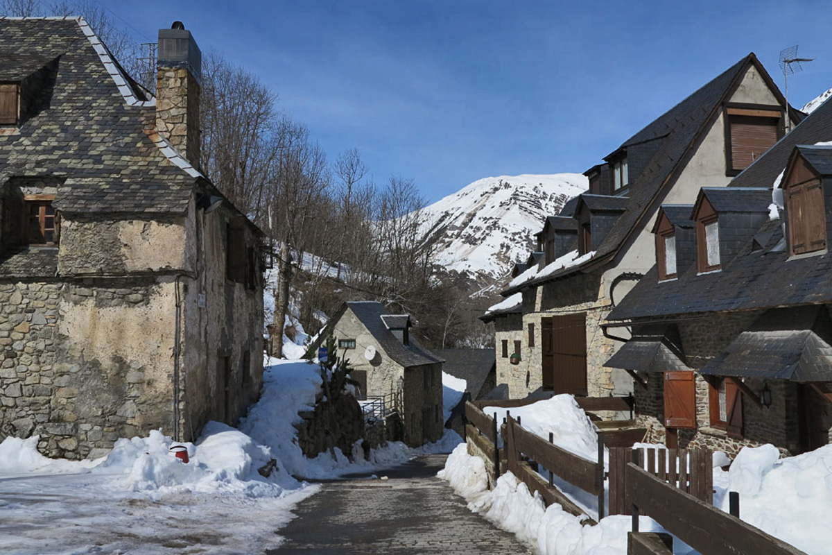 20181228083600-a232e64d0d58a1a86fb05d7cc3af6de3