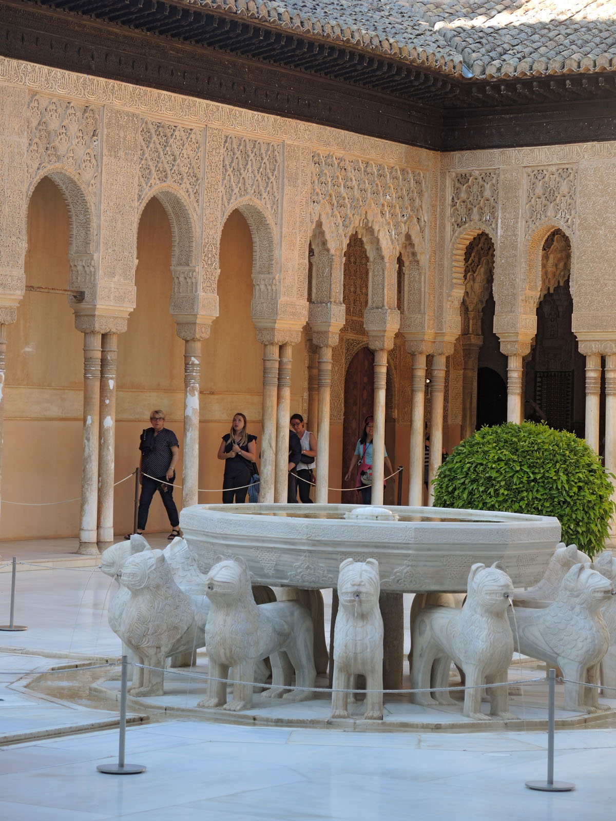 20190114091333-183f9c983ce5439503010341b9a8affb