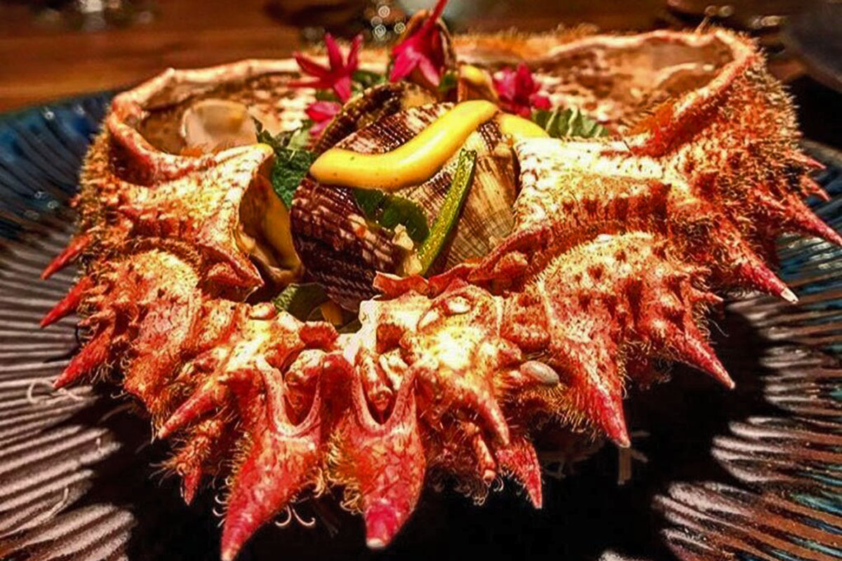 20190325223825-af916063dc3ae6c1f3fbfdea0f9c728e