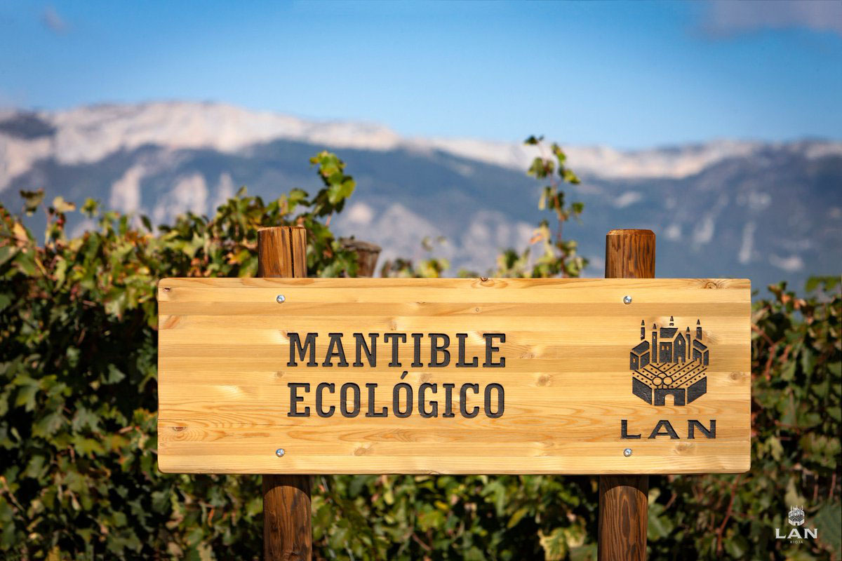 20190423011454-35df25e845bb0b8c9bca704f7907ffe0