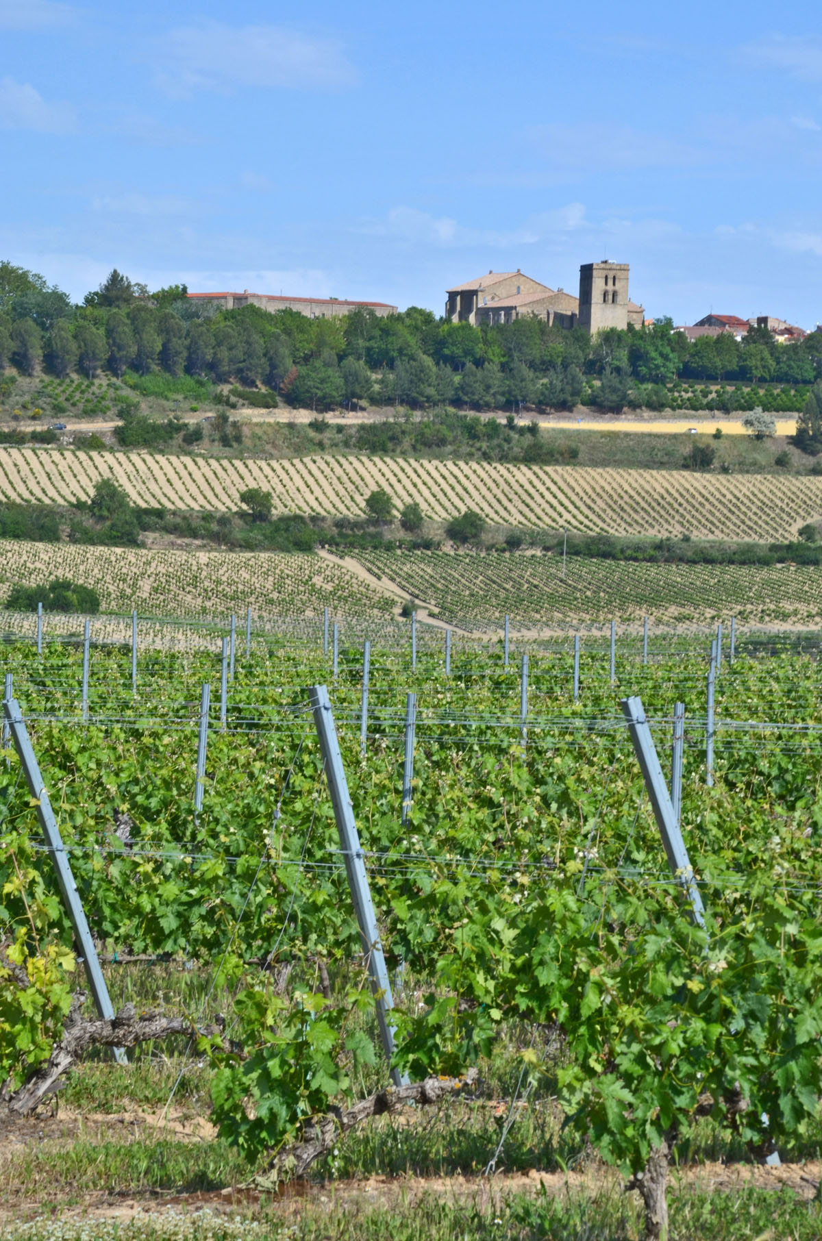 20190721093040-a5a7d177375a7b124e0d103da63696a4