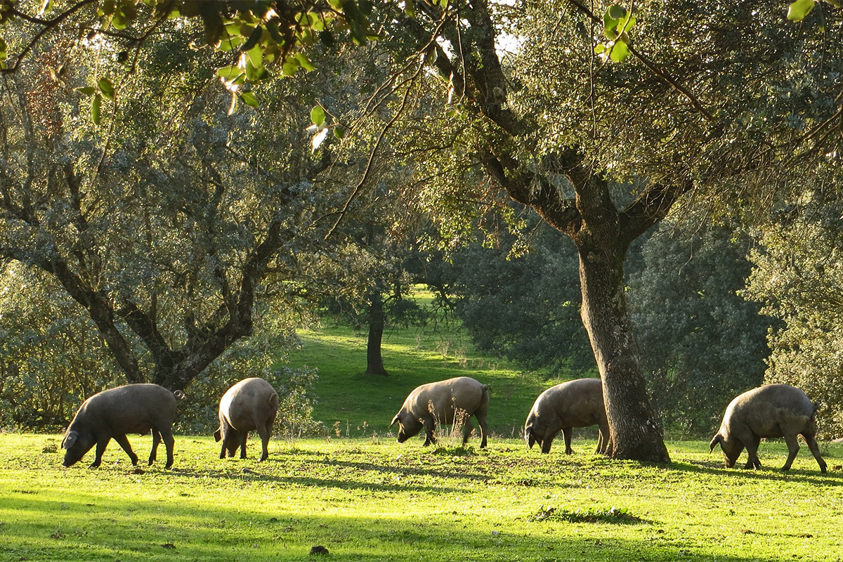 20191123152637-06fa2d707b27678c0a554eeaa793547b