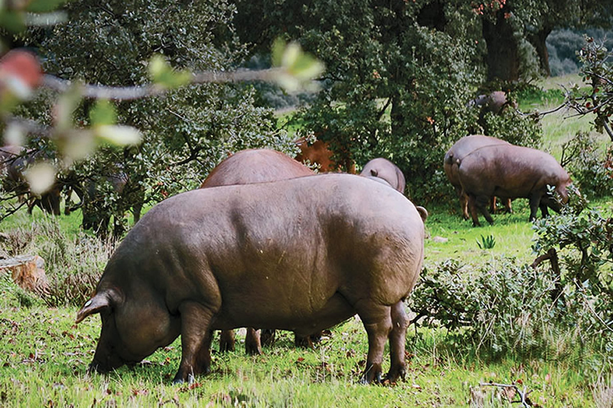 20191123152637-cb1c3ab6add4a9ac475470920679230f