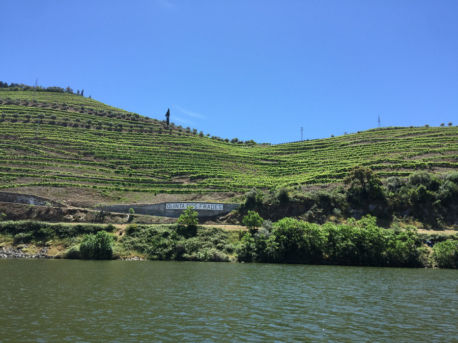 20200505092648-45057b8e2dd06287cce323e2b92e1521