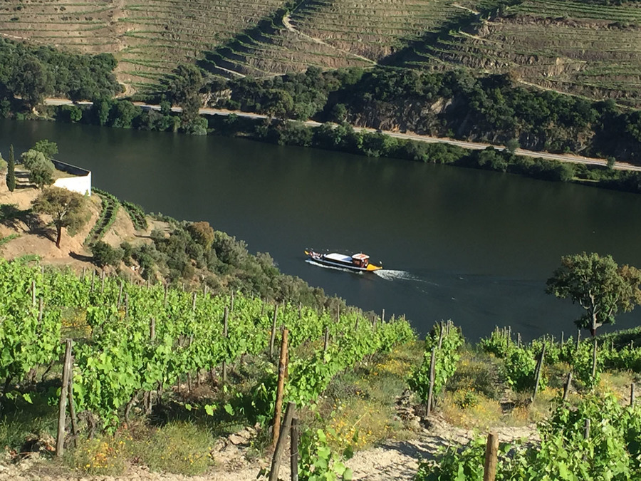 20200505092648-53437defaf056bef7a44daea20ea3254