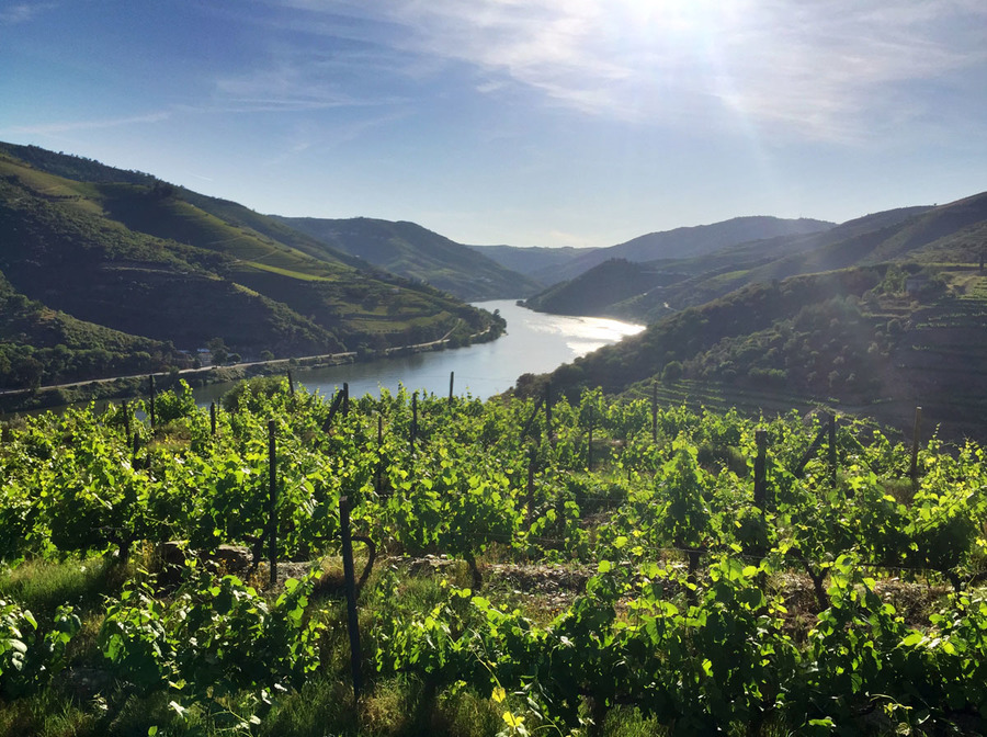 20200505092648-60c0f73086feb072c38f0177321b9ce0