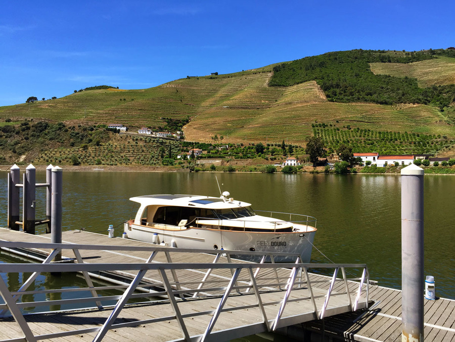 20200505092648-995c4079a2c753cdce71f8447e344647