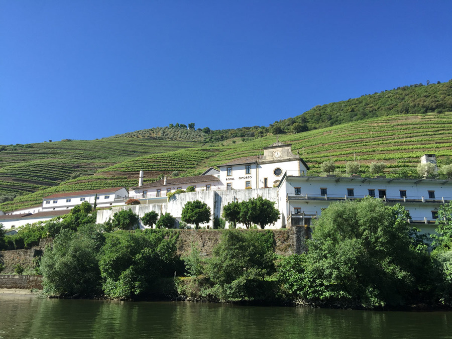 20200505092648-e91d2db102a4ae42e1dc9d398ed7b0f7