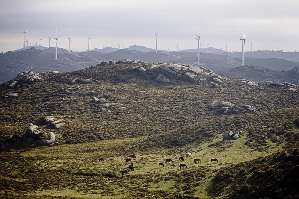 20201121232903-0a0e2ae02602d90d8f5eee292938977c