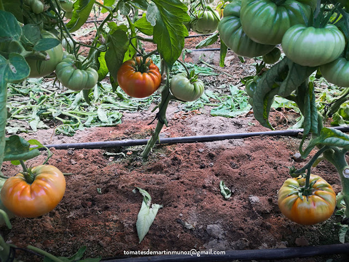 20201130230650-523b50b486362444ca7f2ce1e73f529d