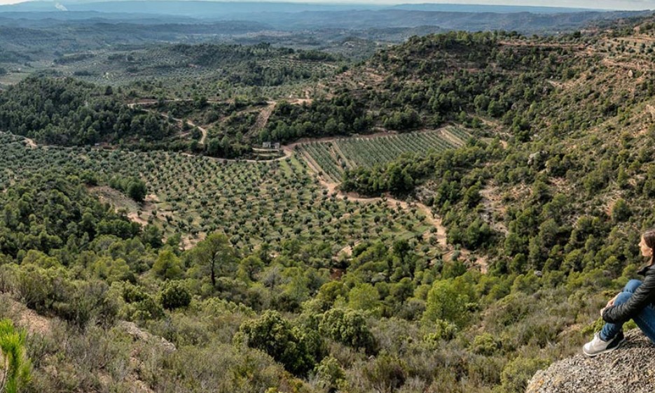 20201201135831-407a78697b2706ddd58f926f459b5920