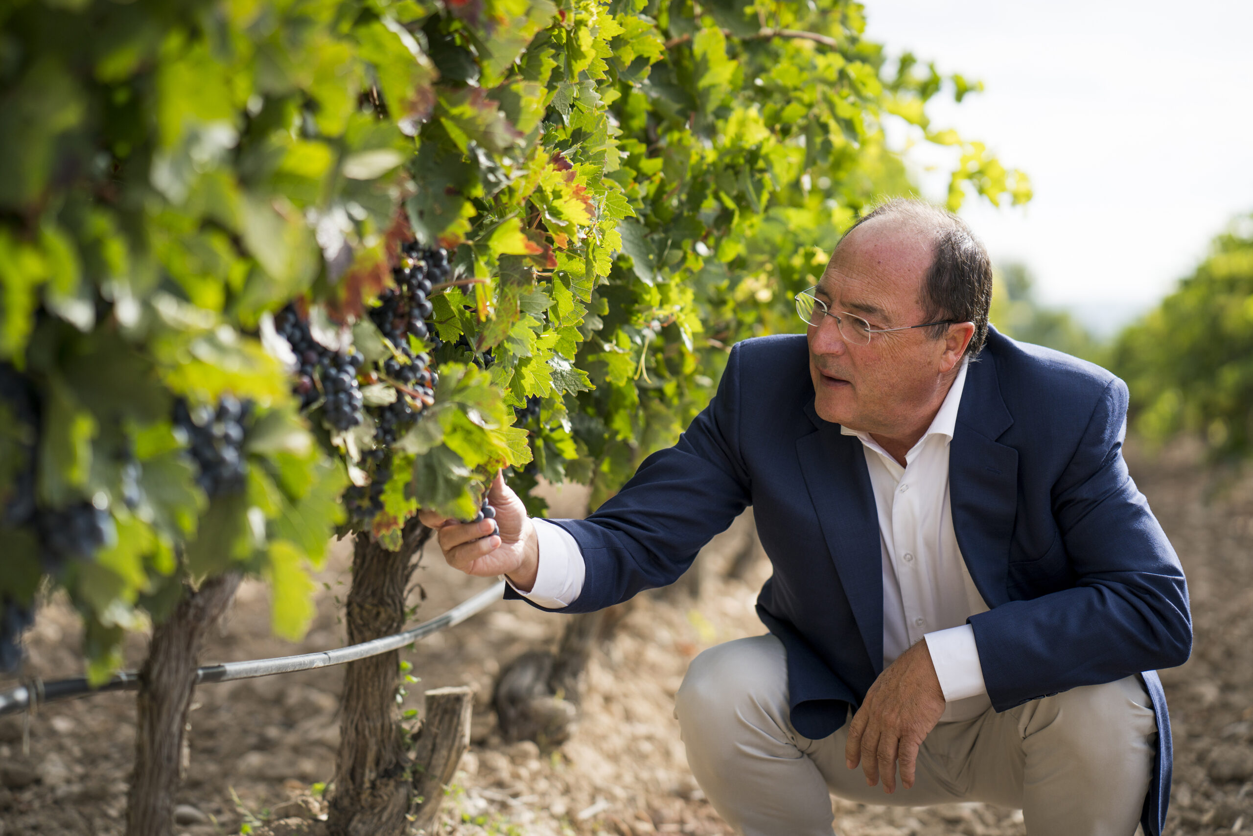 20201208143815-1983b3ea2d715c5db40bac8515547395